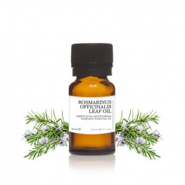 Rosemary essential oil 10mL