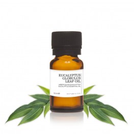 Eucalyptus essential oil 10mL