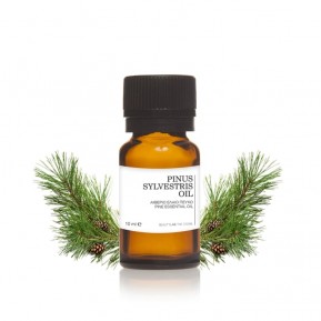 Pine essential oil 10mL