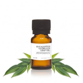 Eucalyptus essential oil 10mL